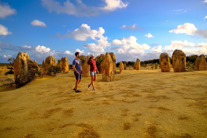 Full-Day Pinnacles Desert and Yanchep National Park Tour From Perth - Traveler Reviews