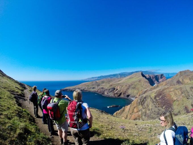 Full-Day Ponta De São Lourenço - Natural Reserve - Review Summary