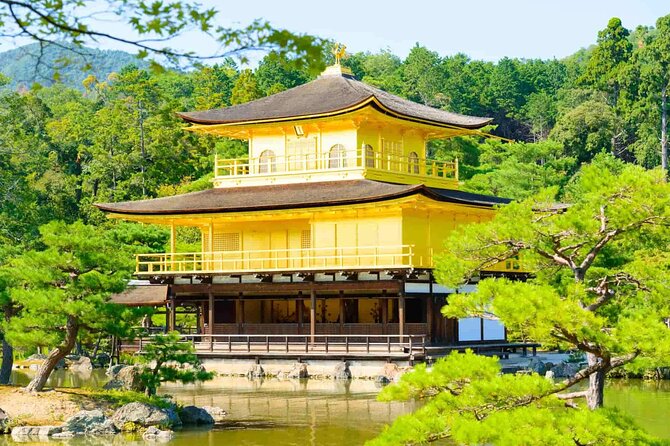 Full-Day Private Bamboo Grove and Golden Temple in Kyoto Tour - Excluded Expenses