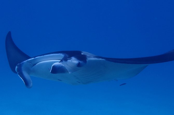 Full-Day Private Boat Tour of Bora Bora Lagoon With Snorkel - Cancellation Policy and Weather Considerations