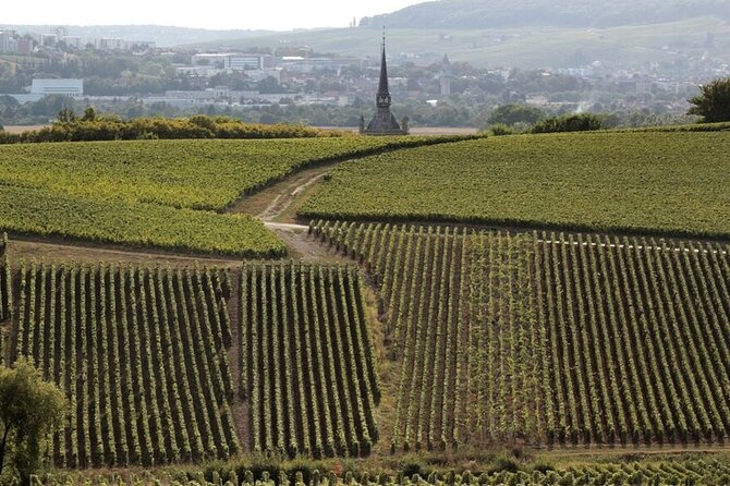 Full-Day Private Champagne Tasting in Reims and Its Vineyards - Company Information