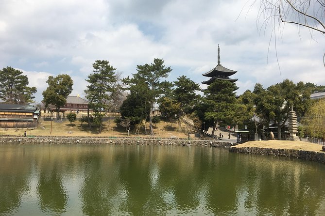 Full-Day Private Guided Tour to Nara Temples - Customer Support Options
