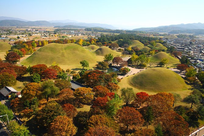 Full Day Private Gyeongju UNESCO Heritage Tour : a Glimpse Into Silla - Contact and Support