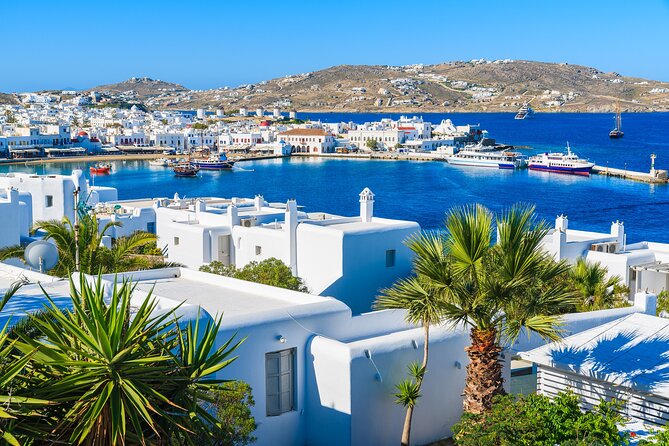 Full Day Private Shore Tour in Mykonos From Mykonos Cruise Port - Price Information