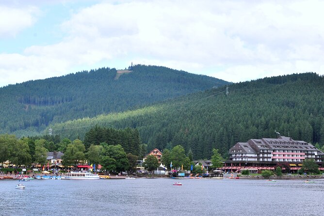 Full-Day Private Tour From Zurich to Lake Titisee Black Forest - Optional Activities