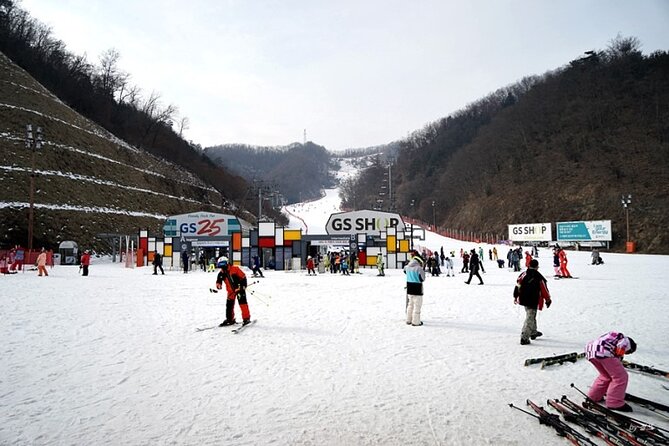 Full Day Private Tour Nami Island & Gangchon Elysian Ski - Product Code and Variations