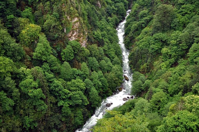 Full-Day Private Tour to Ayder Plateau From Trabzon - Pricing and Operator Information