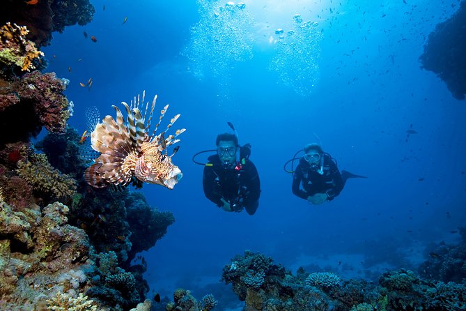Full-Day Racha Yai Private Scuba Diving Course From Phuket - Instructor Highlights