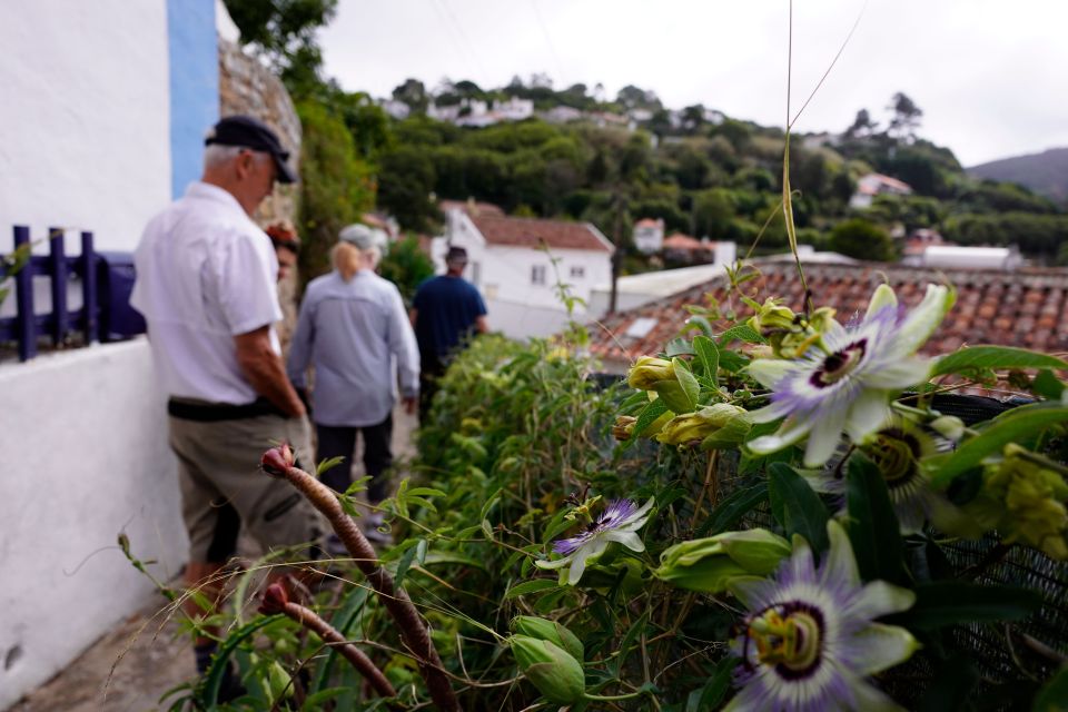 Full-Day, Regaleira, Cabo Da Roca & Natural Park . - Additional Information