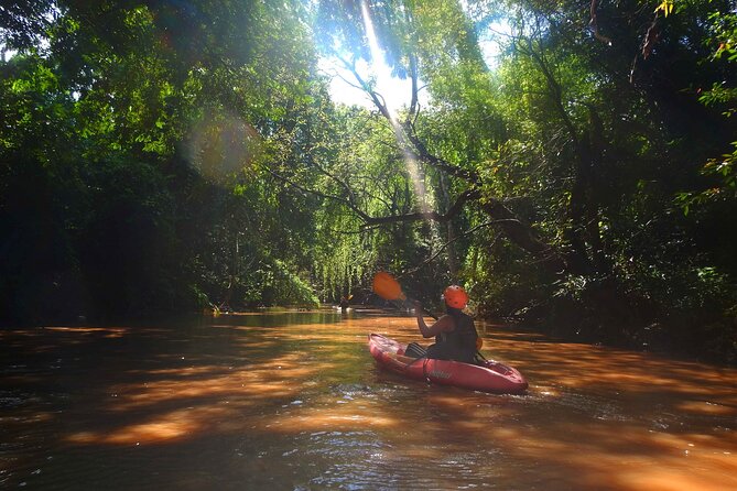 Full-Day River Kayaking Trip in Northern Thailand Jungle From Chiang Mai - Background