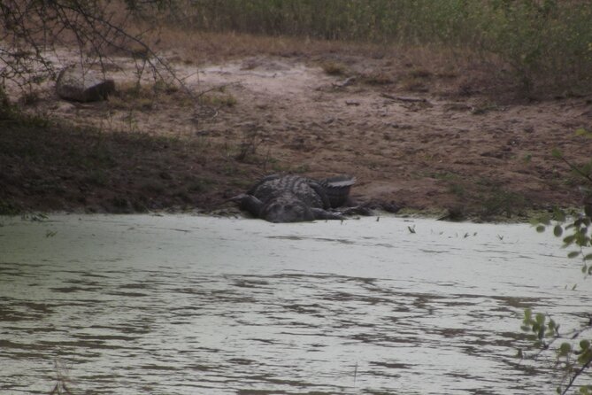 Full Day Safari Tour in Yala National Park - Assistance and Queries