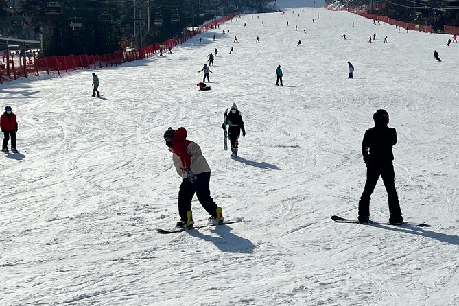 Full Day Ski Tour From Seoul to Yongpyong Ski Resort - Lunch Options