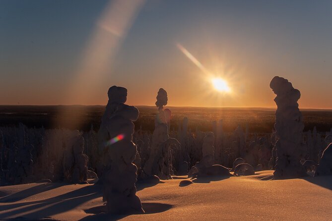 Full-Day Snowshoeing Adventure in Amethyst Mine Pyhä Luosto - Return Transportation Included