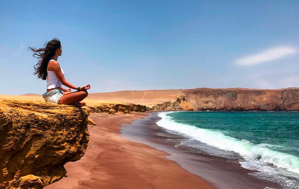 Full Day Tour Ballestas Islands & Paracas National Reserve - Additional Tour Information