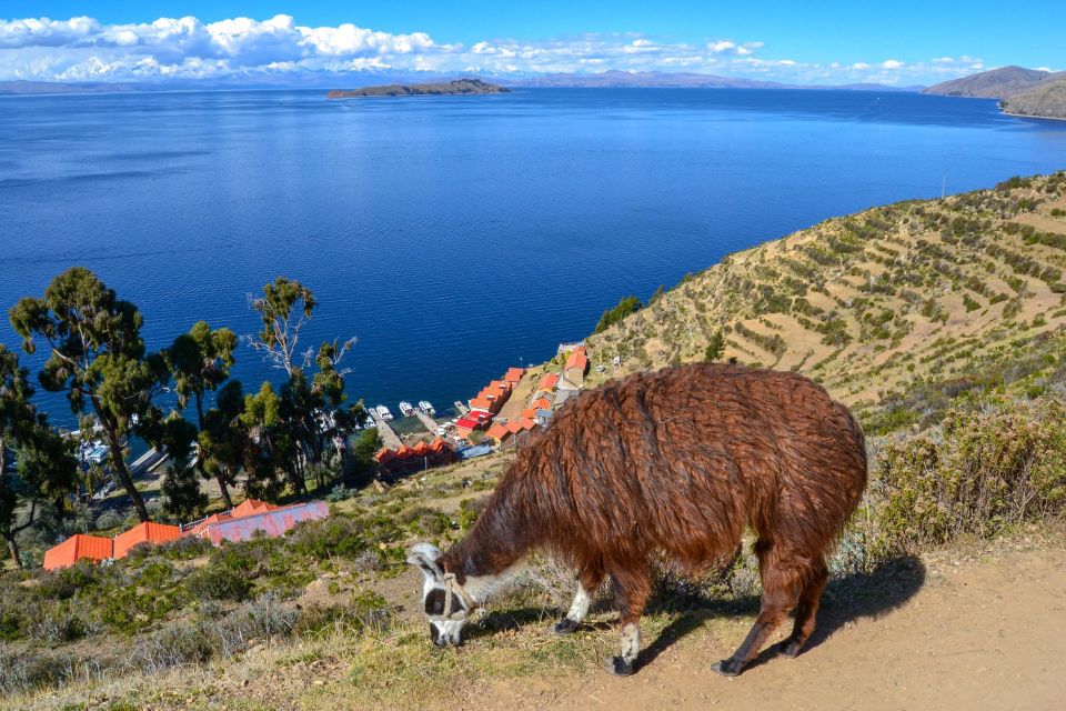 Full Day Tour of Copacabana and Sun Island - Boat Ride on Lake Titicaca