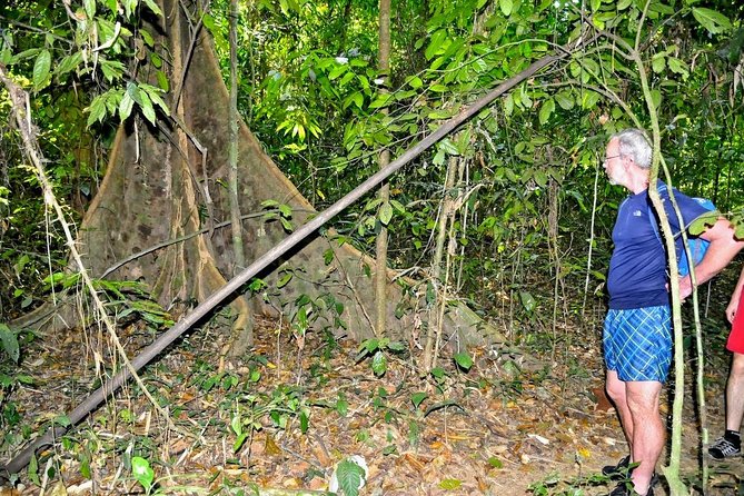 Full-Day Tour to Cheow Lan Lake in Khao Sok National Park From Krabi - Customer Reviews and Feedback