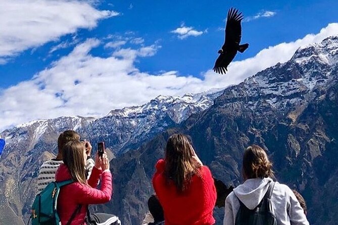 Full Day Tour to Colca From Arequipa - Directions