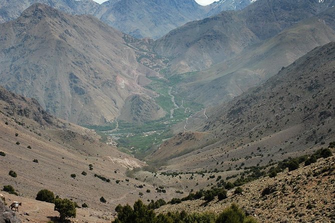 Full Day Trek to High Atlas Mountains (GOOD LEVEL OF FITNESS REQUIRED) - Common questions