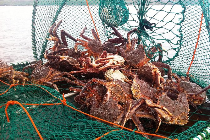 Full-Day Trip: King Crab Safari to Norway From Saariselkä Including Lunch - Common questions