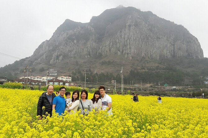 Full Package Tour of All Areas of Jeju Island-(East &South &West) - Booking Information