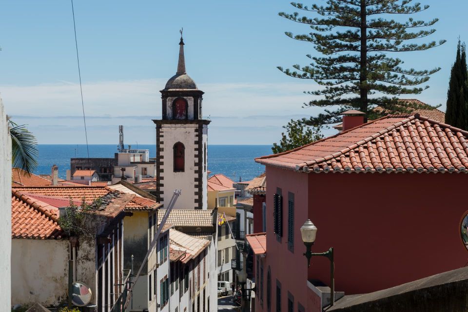 Funchal: 1 Hour Tuk Tuk Private City Tour on Tukway - Insights From Local Guides