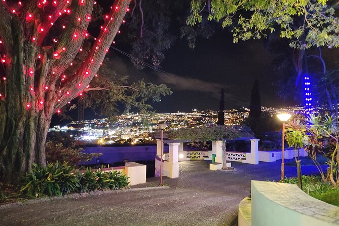 Funchal Christmas Lights Sightseeing Night Tour - Magical Christmas Lights