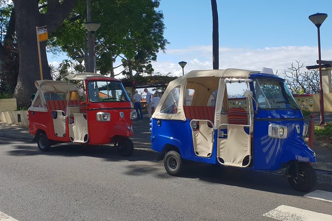 Funchal City Tour - Host Responses to Customer Feedback