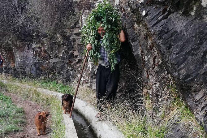 Funchal Small-Group Marocos To Mimosa Valley Hike