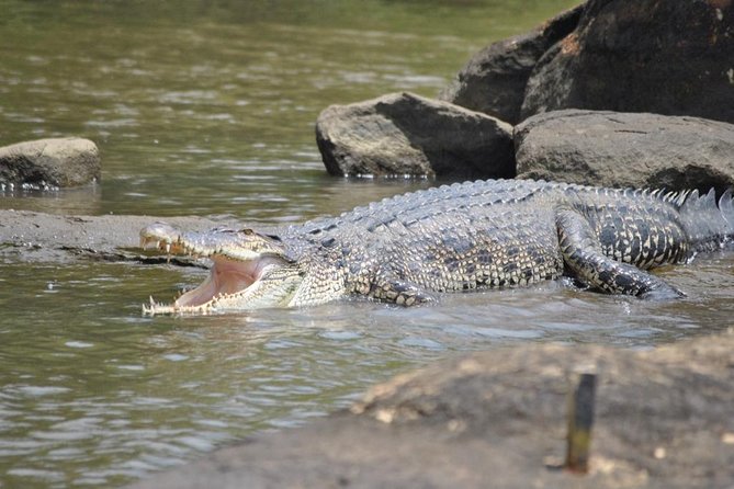 Galle Day Tour: Boat Safari, Stick Fishing & Turtles From Bentota - Common questions