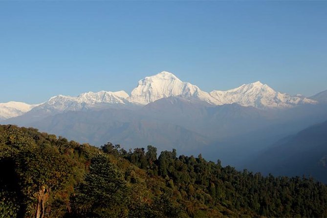 Ghorepani Poon Hill Trek - Tips for a Memorable Trek