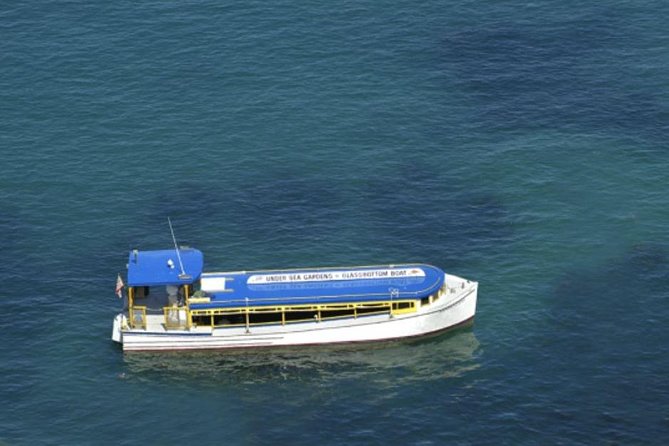 Glass Bottom Boat: Catalina Island Tour - Traveler Experiences
