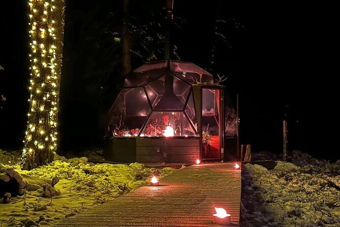 Glass Igloo Campfire Dinner Under Northern Lights - Common questions