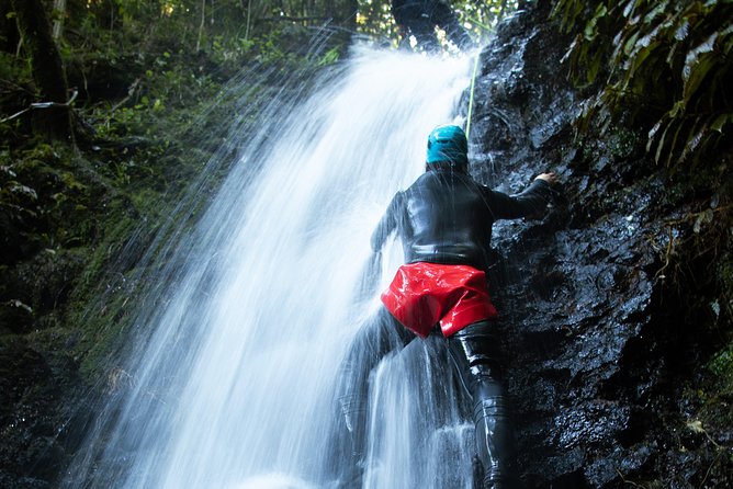 Glowworm Canyoning Adventure - Private Tour From Auckland - Departure Point