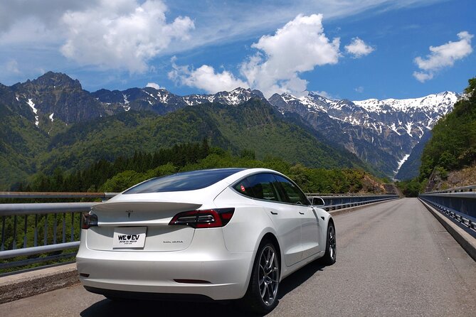 Go Anywhere With a Tesla Rental Car (Free Plan) - Tips for Maximizing Your Tesla Experience