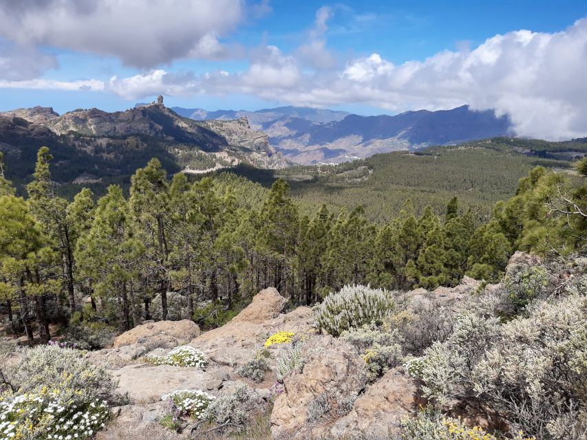 Gran Canaria: "Peaks of Gran Canaria" Hiking Tour - Last Words