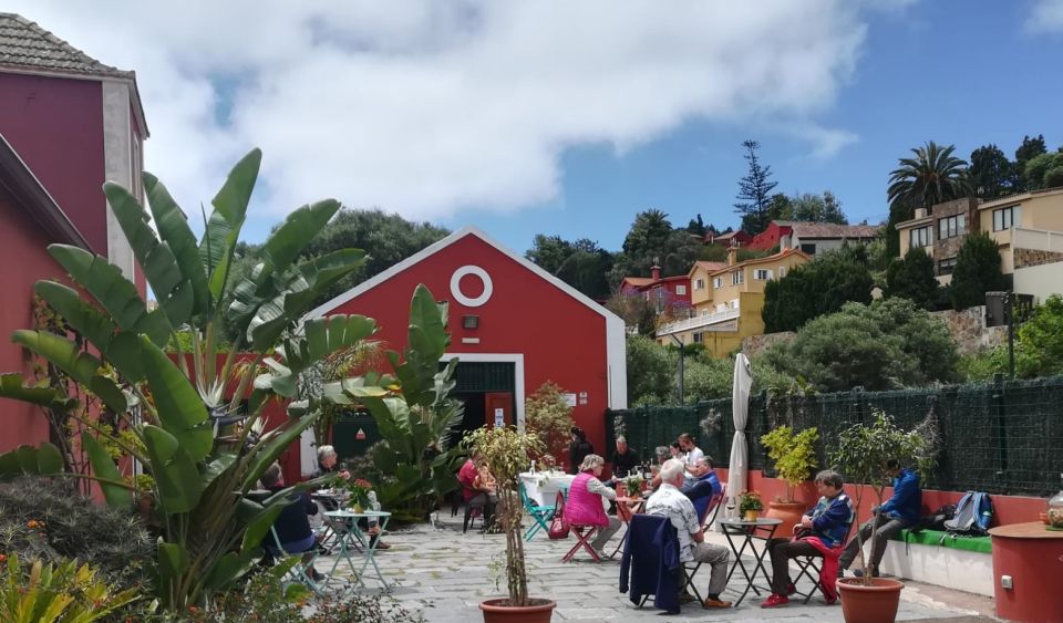 Gran Canaria: Winery Tour, Wine Museum, and Tasting - Last Words