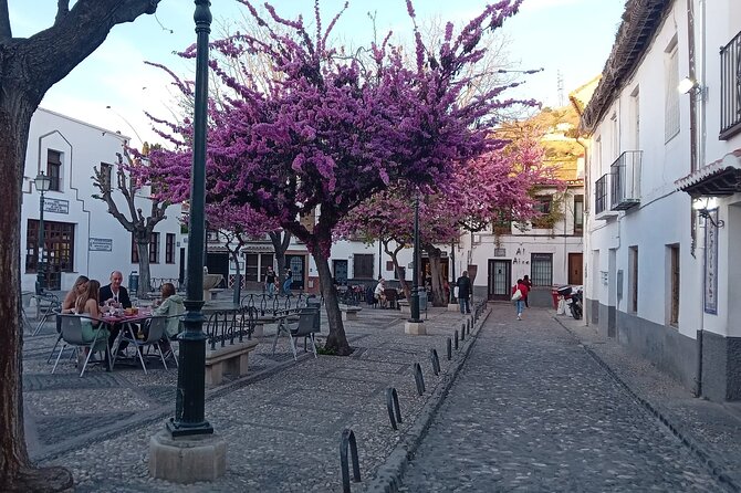 Granada History, Heritage and Culture Guided Tour - Art and Artifacts in Granada