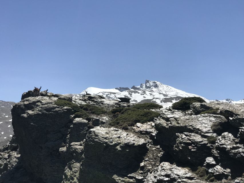 Granada: Sierra Nevada Private Ebike Tour - Booking Information