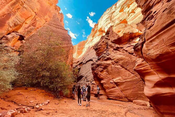 Grand Canyon South Rim, Antelope Canyon and Horseshoe Bend Tour - Day Trip Itinerary Details