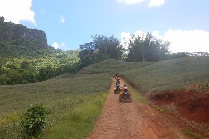 Grand Tour Quad 3h30 Quad Excursion in Moorea (Single or Two-Seater) - Safety Measures and Maintenance