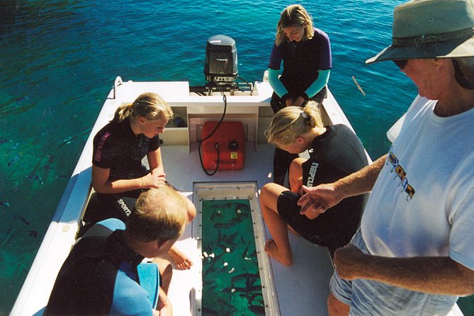 Great Barrier Reef Private Expedition Cruise (Min 4 Day Max 8 Guests) - Accessibility and Participation Guidelines