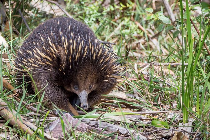 Great Ocean Road and Otway Discovery 2 Day Tour From Melbourne - Directions