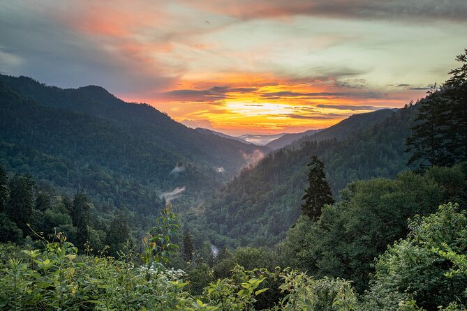 Great Smoky Mountains National Park and Cades Cove Self-Driving Bundle Tours - Flexibility