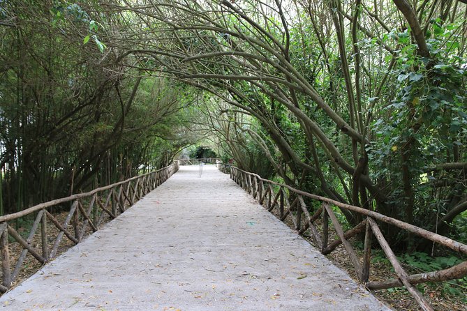 Group Guided Tour of the Archaeological Park of Neapolis - Directions