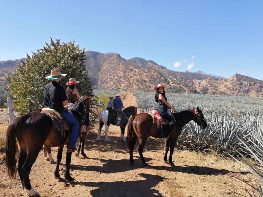 Guadalajara: Horse Riding on the Tequila Route With Tastings - Additional Information and Location