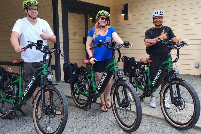 Guided E-Bike Wine Tour With Tastings and Lunch - Tour Guide Services