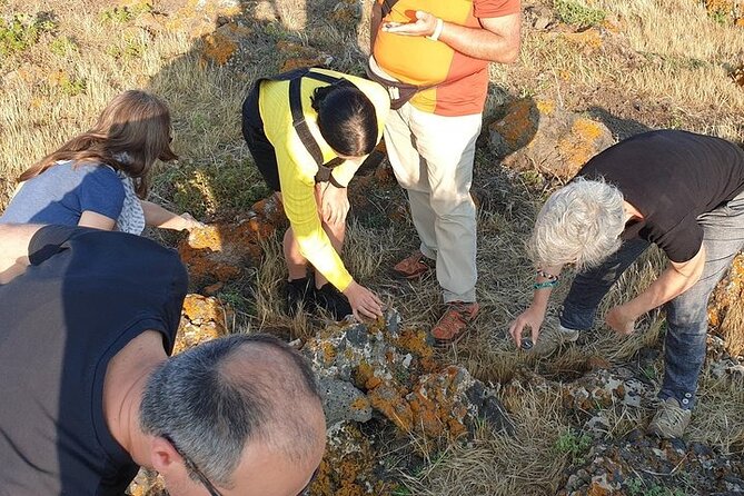 Guided Geological Excursion to Ustica - Safety and Accessibility Information