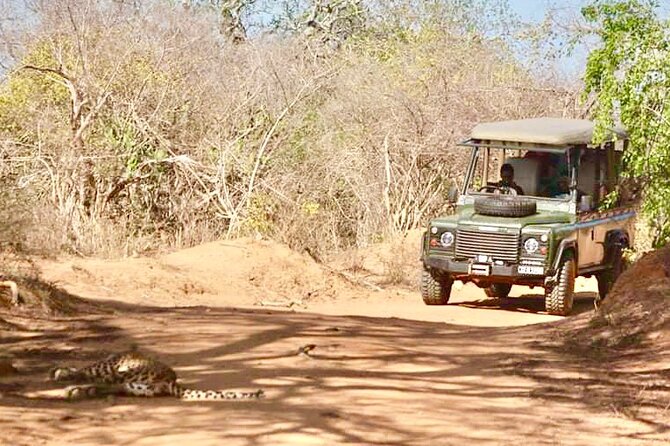 Guided Leopard Safari in Yala National Park in a Land Rover Defender - Customer Reviews and Ratings