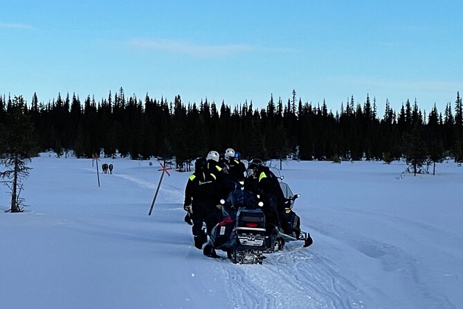 Guided Morning Snowmobile Adventure in Arctic Wilderness - What to Bring