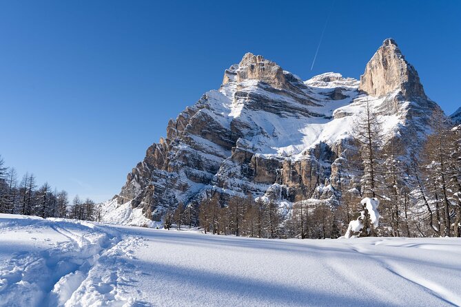 Guided Snowshoeing Day to Discover the Dolomites - Common questions